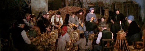 SCARICARE FILM LALBERO DEGLI ZOCCOLI